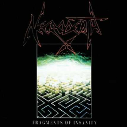 Fragments Of Insanity