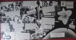 daffodils-to-the-daffodils-here's-the-daffodils_gatefold_optimized